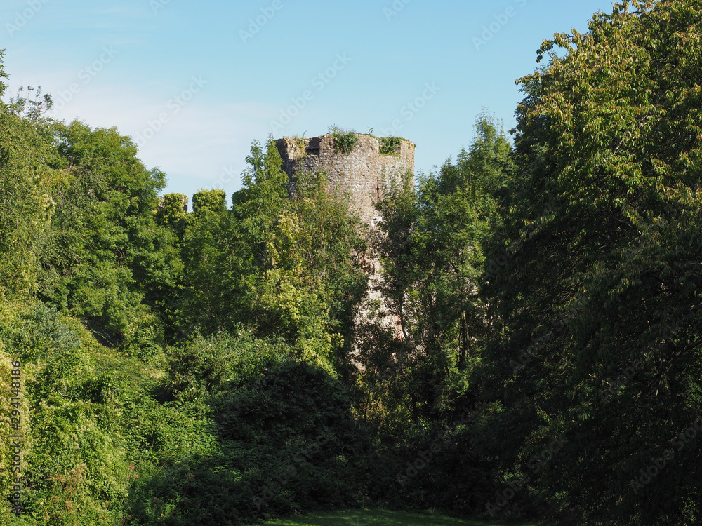 Chepstow Castle ruins in Chepstow