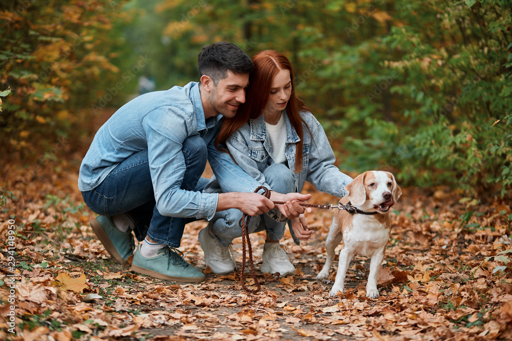 two cheerful attractive young man and woman stroking dog in the forest, hobbu, interest