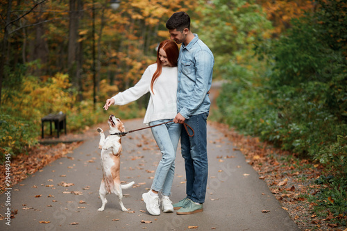 young man and woman in styish casual clothes entertaining their adorable dog, full length photo