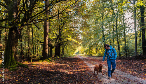 фотографія Wanderer mit Hund auf Wanderweg im herbstlichen Wald / Hiker with dog on hiking