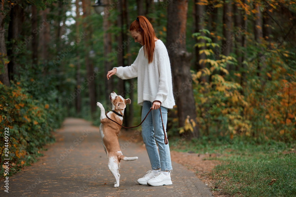 ginger woman spending her weekend with dog in the forest, full length side view photo. happiness ginger woman spending her weekend with dog in the forest, full length side view photo. happiness