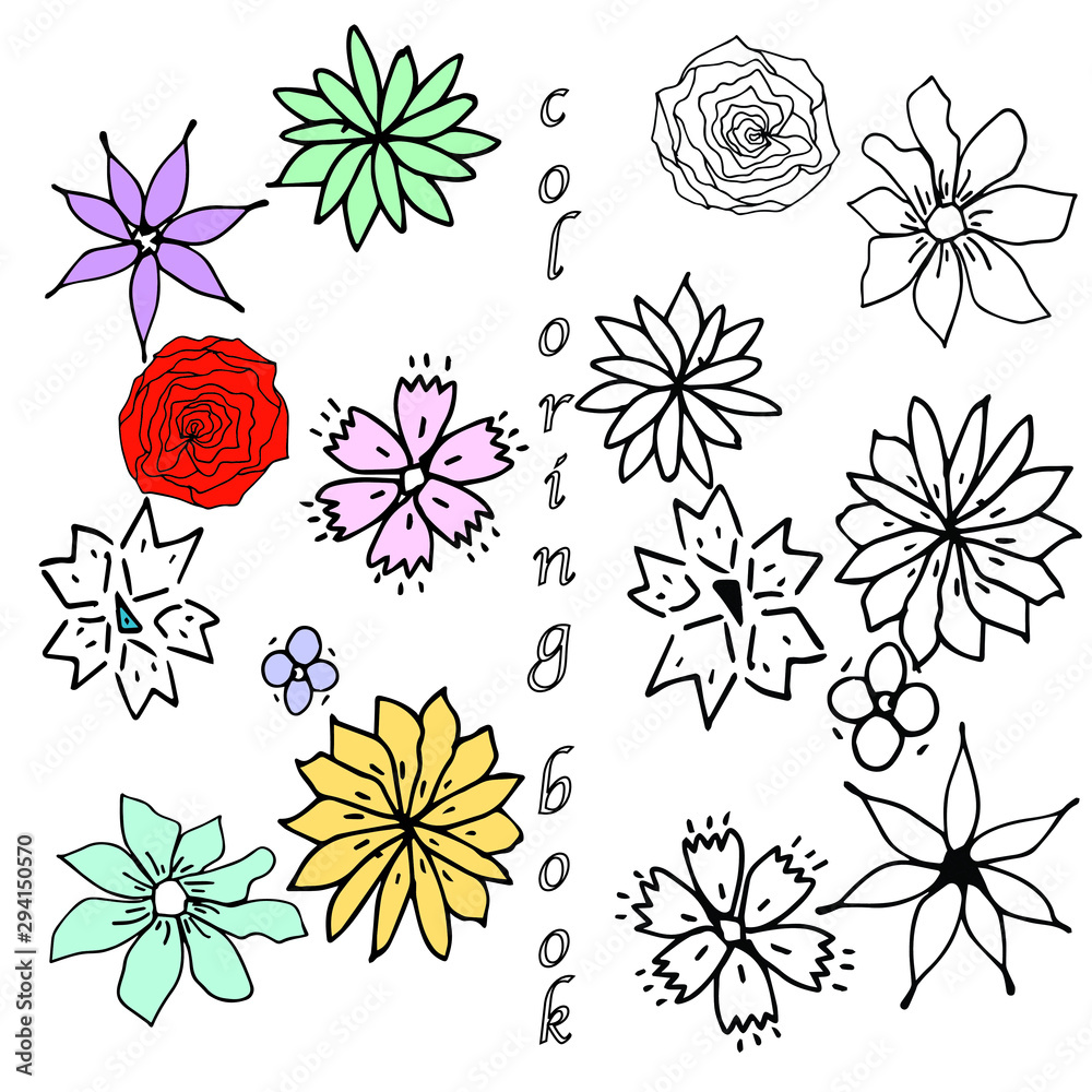 Set of vector floral coloring book with blooming garden flowers, botanical natural Illustration on white  background in hand drawn doodle style.
