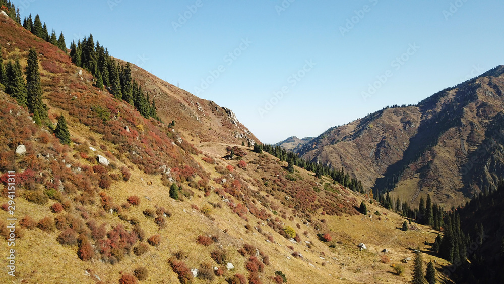 Autumn in the mountains. Green-orange wood, the grasses, coniferous ate. Big rocks and snow-capped mountains. Mountain gorge. Yellow bushes and grass. Shooting from a height, drone. Almaty, Kazakhstan