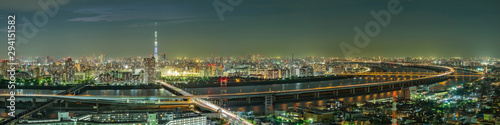 Cityscape of Tokyo skyline, panorama aerial skyscrapers view of office building and downtown in Tokyo in the night. Japan, Asia.