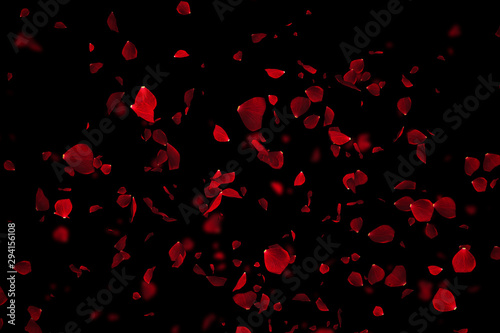 Fotografie, Obraz red colorful petals rose flying animation on black background, love and valentin