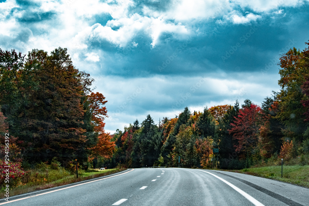 Road and forest in the fall Road and forest in the fall