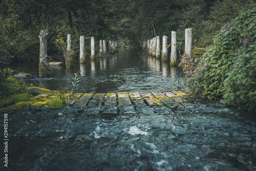 Wooden piles in a river