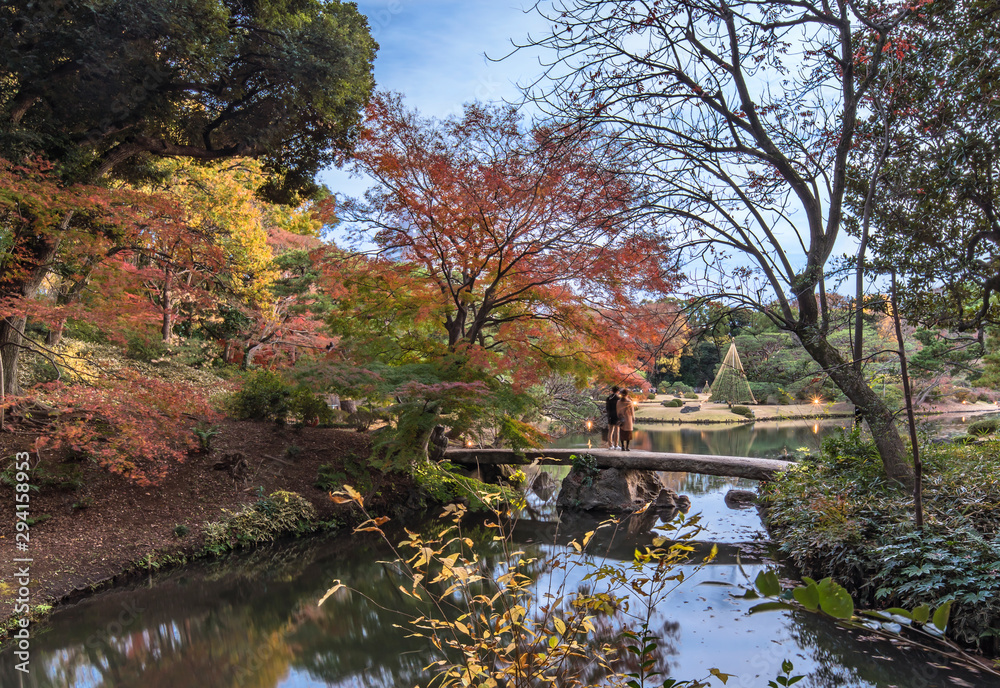 Japanese stone bridge and autumn red maple on the pond of Rikugien Park in Bunkyo district, north of Tokyo.
