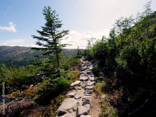 Fototapeta Naklejka Na Ścianę i Meble -  The trail through the Karkonosze near Szklarska Poreba