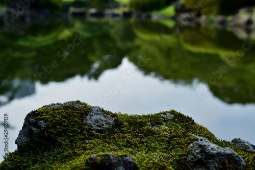東京都新宿区の日本庭園の苔越しの池