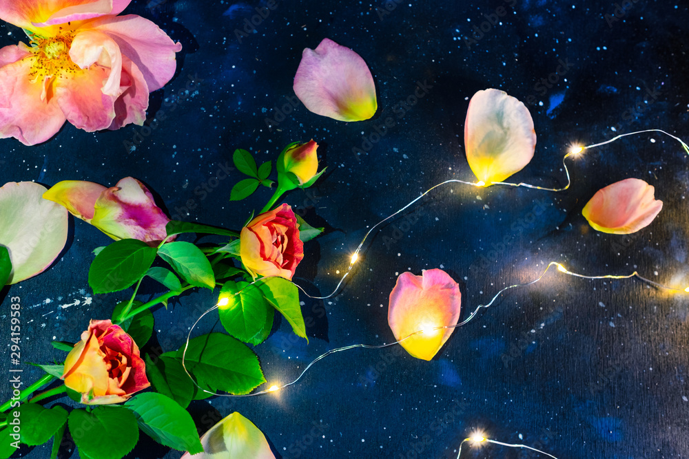 Petals and rose leaves on a dark blue background view from the top, in the style of flat lay. Place for your design. Petals and rose leaves on a dark blue background view from the top, in the style of flat lay. Place for your design.