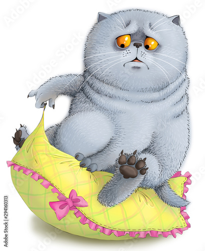 Funny cat