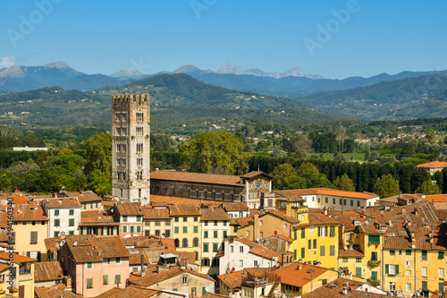 Elevated city view of the historic centre of the medieval town of Lucca from the Guinigi Tower with the Basilica of Saint Frediano in a sunny summer day, Tuscany, Italy