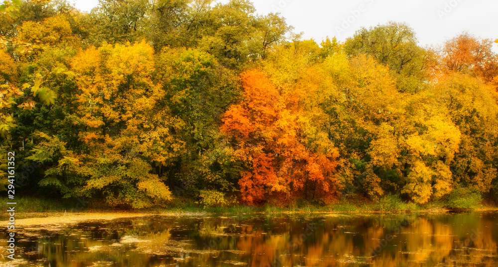 Very nice scenery in the fall. Lake and forest in autumn. Natural colors Very nice scenery in the fall. Lake and forest in autumn. Natural colors