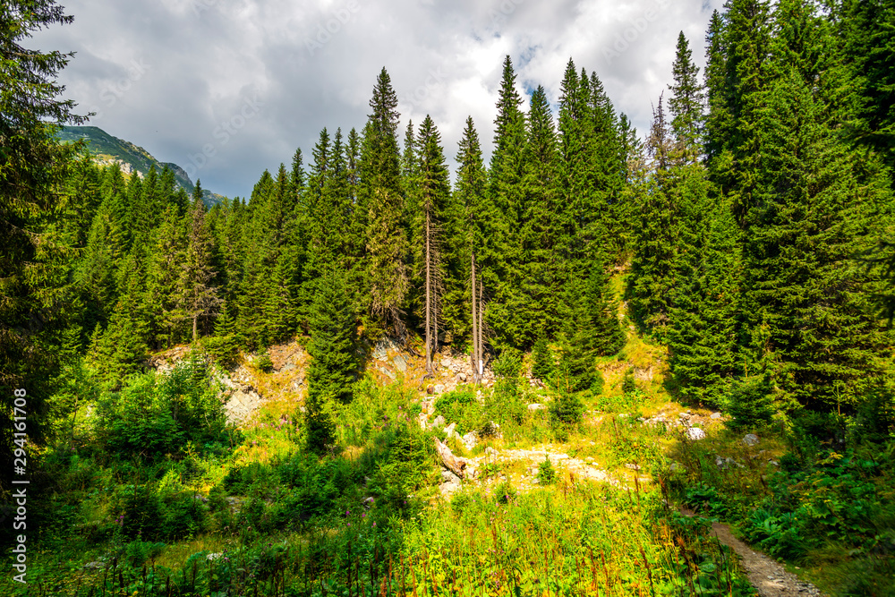 Landscape in Carpathian Mountains, Retezat Mountains, Romania Landscape in Carpathian Mountains, Retezat Mountains, Romania