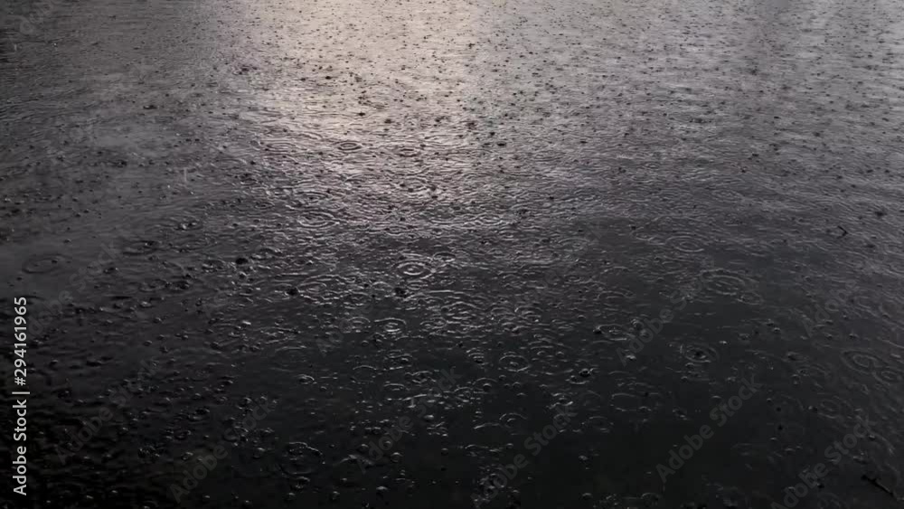 UK October 2019 - Heavy rain hits water on a shallow pond with Autumn leaves sunk to the bed. UK October 2019 - Heavy rain hits water on a shallow pond with Autumn leaves sunk to the bed.