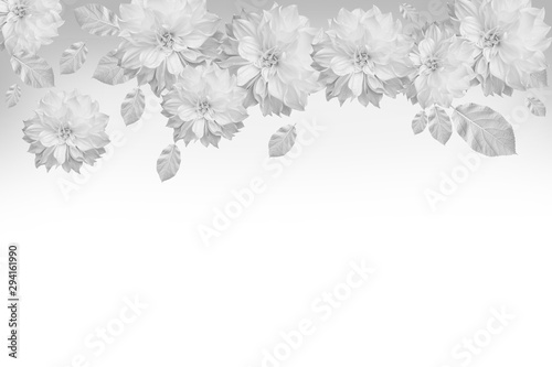 top view white chrysanthemum flowers with copy space on white background