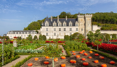 Château de Villandry. Citrouilles.