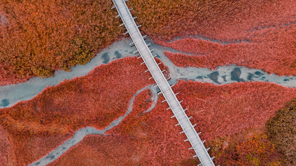 Keuken achterwand Rood Houten brug boven herfstig grasland  © marcin jucha