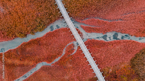 Plakat Drewniany most nad jesiennymi łąkami