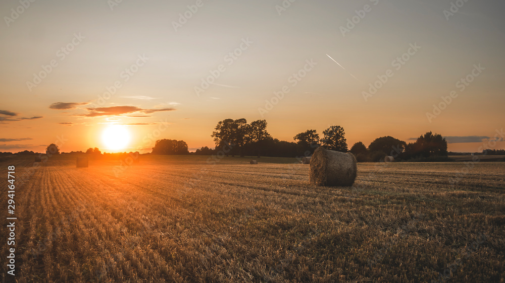 Fototapeta premium sunset leaving field