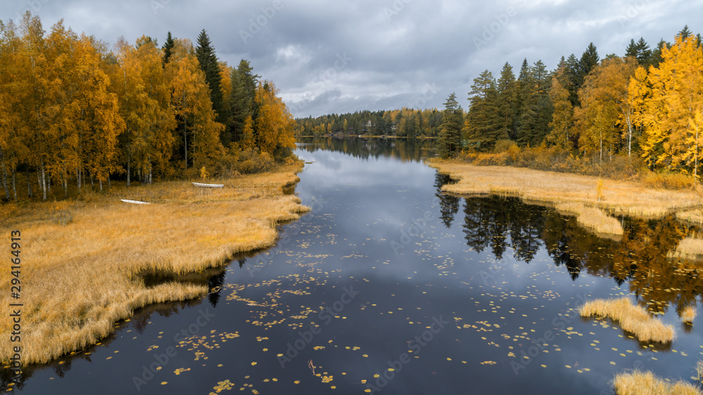 Fototapeta premium Autumn forest and cloudy sky reflected in the water. Yellow autumn trees near the water. Yellow Birch reflected in clean lake in the forest. Camping by the lake. 