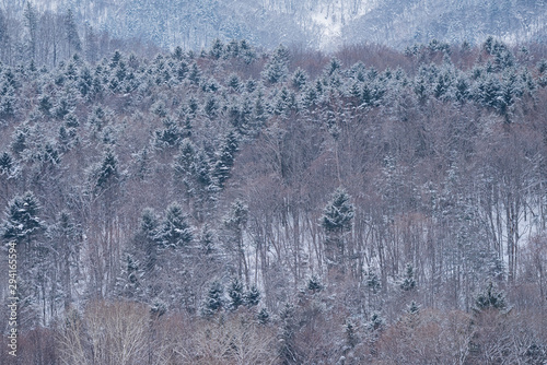 Landscape of Hokkaido in Winter, Japan.