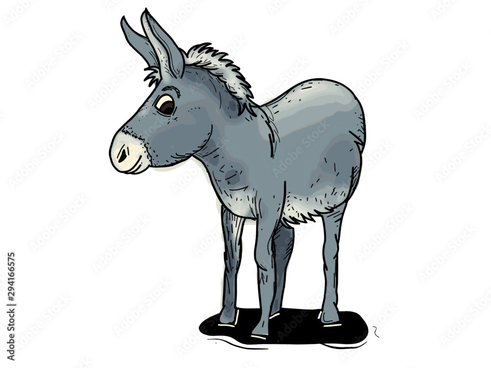 funny little donkey