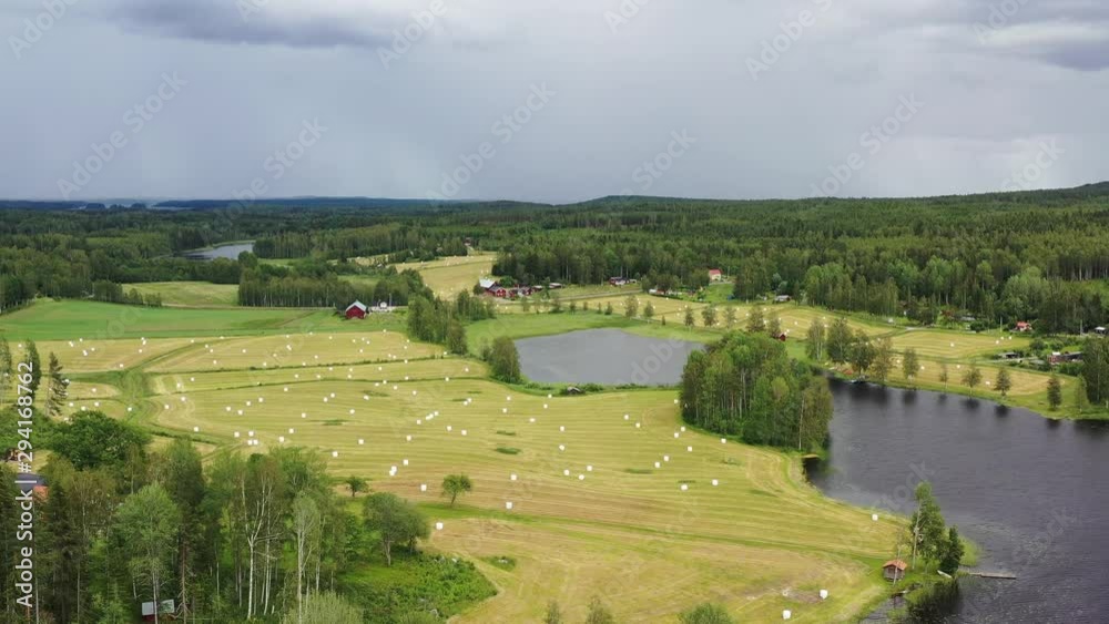 Aerial view of summer grass silage fields being harvested. Haystacks straw left after harvesting wheat Aerial view round bales of straw in the meadow. Hay bale. Agriculture field with the sky. Sweden. Aerial view of summer grass silage fields being harvested. Haystacks straw left after harvesting wheat Aerial view round bales of straw in the meadow. Hay bale. Agriculture field with the sky. Sweden.