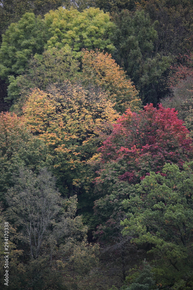 Herbst