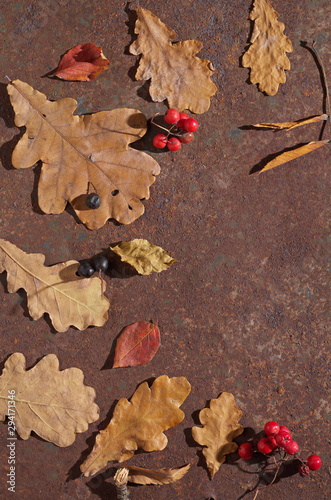 Autumn leaves on rusty iron