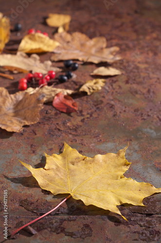 Autumn leaves on rusty iron