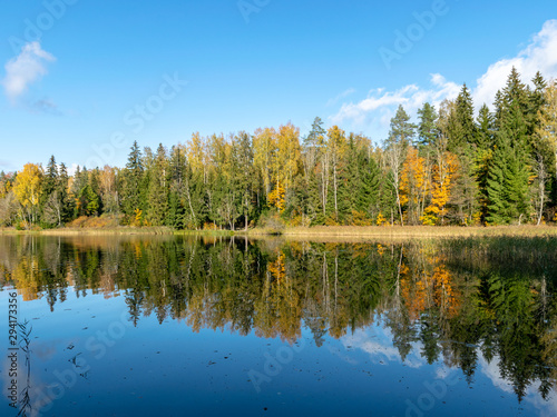 quiet landscape with autumn trees on the water's edge, beautiful reflections