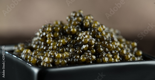 Black Caviar in a bowl. High quality real natural sturgeon black caviar close-up. Delicatessen. Texture of expensive luxury caviar square dish on black