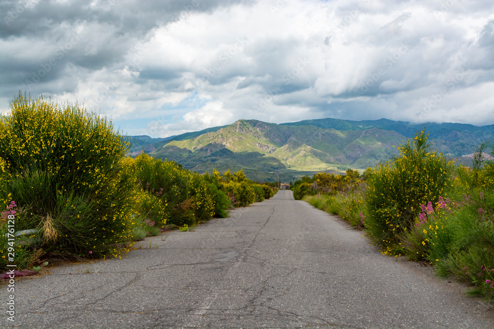 Scenic small mountain road with colorful wild flowers between villages in central part of Sicily island, Italy