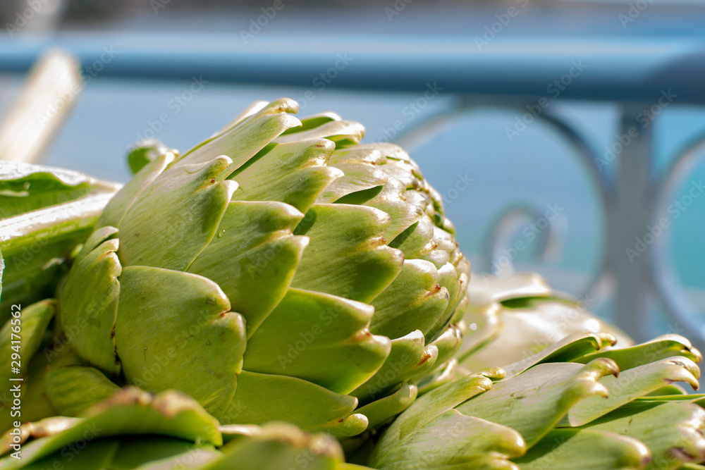 Obraz premium Bunch of fresh raw artichokes heads from artichoke plantation in Argolida, Greece ready to cook