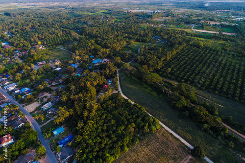 Palm oil plantation field in rural village aerial view