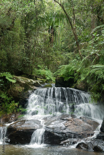 riviére, cascade, forêt primaire tropicale, Parc National Andasibé Mantadia, Madagascar