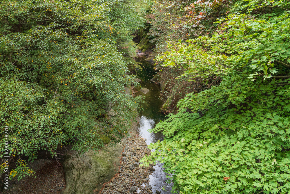 Fototapeta premium Towada Hachimantai National Park in early autumn