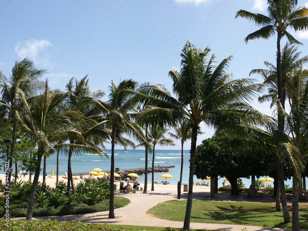 Walk on Path through the trees to the beach Walk on Path through the trees to the beach