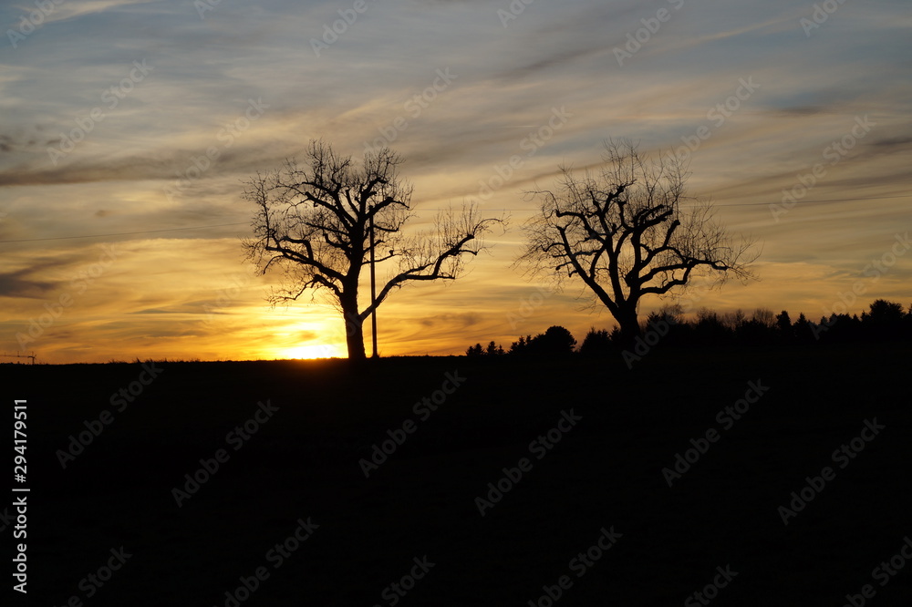 Sonnenuntergang mit buntem Himmel und zwei Baumen