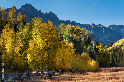 Autumn in the San Juan Mountains of Colorado. Aspen Trees With Shadows