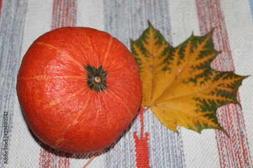  pumpkin ripened