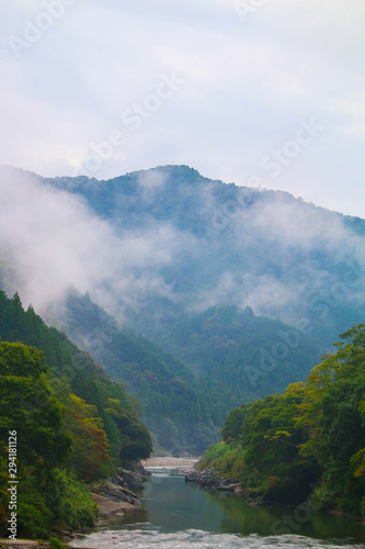 Portrait shot of Japanese countryside (wallpaper)