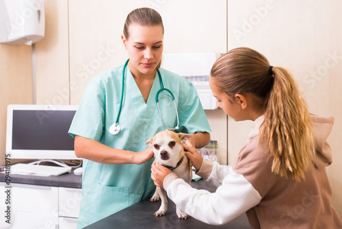 Smiling teenager girl with her puppy visiting veterinarian clinic