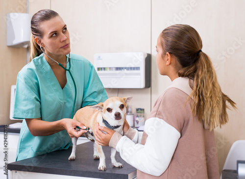 Teenager girl with little dog asking for professional advice from veterinarian