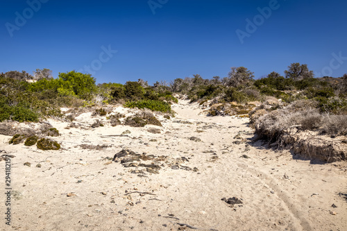 Chrissy island scenery on a sunny summer day with dry trees, white sand and blue clear sky.