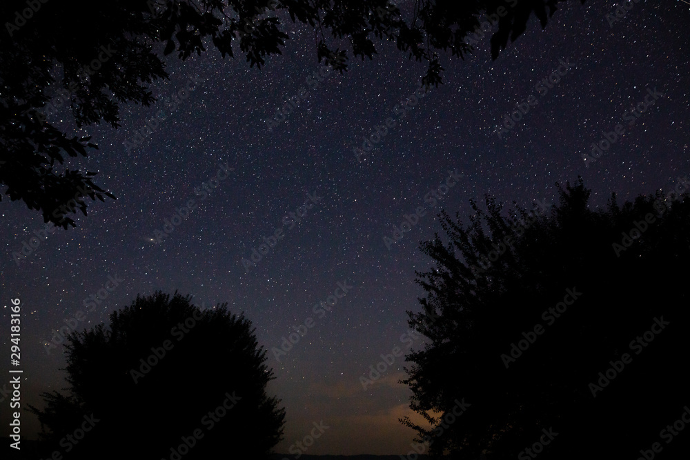 Fototapeta premium Amazing starry night sky with Milky way and falling stars above lake and trees in mountains. Beautiful night sky. Breathtaking landscape. View on sky from camp tent in woods