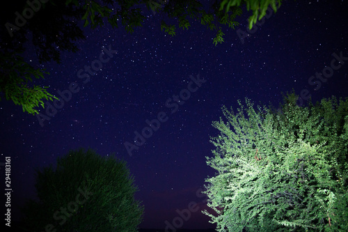 Amazing starry night sky with Milky way and falling stars above lake and trees in mountains. Beautiful night sky. Breathtaking landscape. View on sky from camp tent in woods