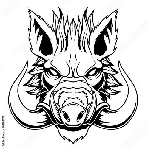 Canvas Wild boar head mascot.